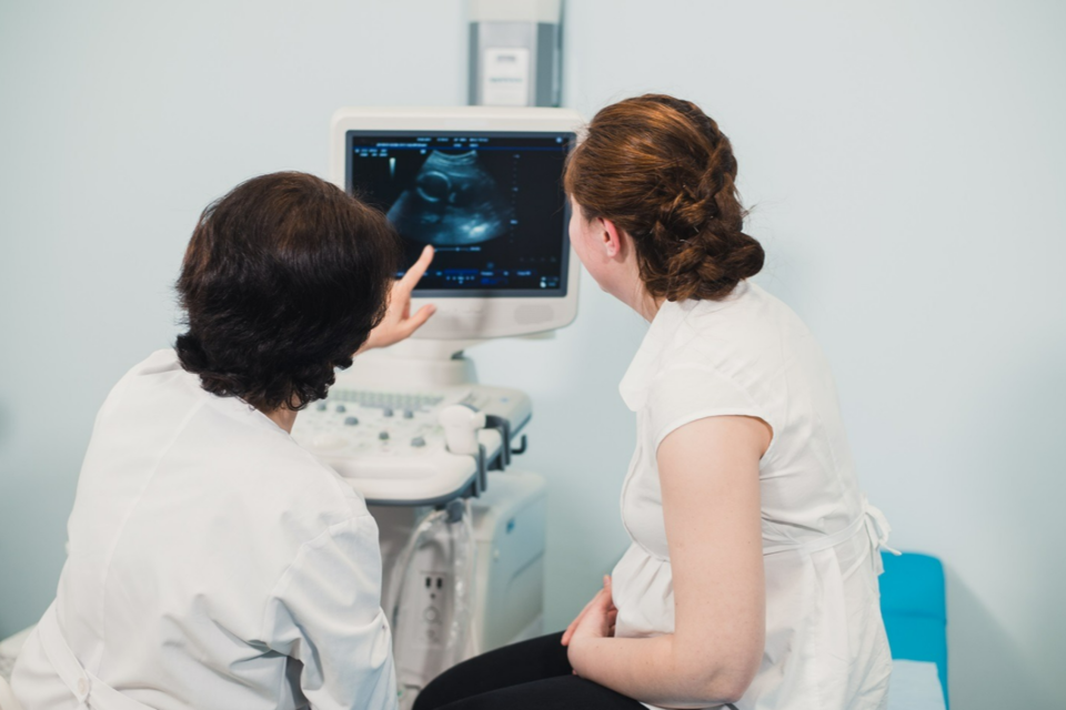 기사의 이해를 돕기 위한 이미지. (사진=엔바토 엘리먼트)