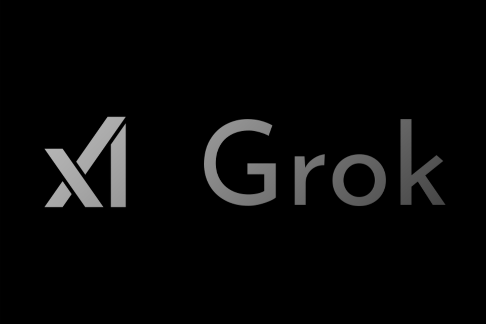 (사진=xAI)