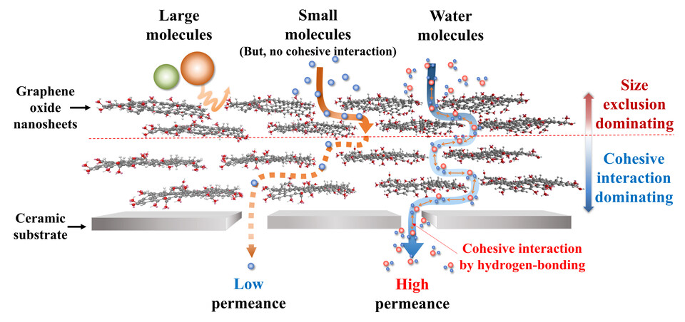 적층형 산화 그래핀 막에서의 물질 이동 기작 모식도. (사진=지스트)