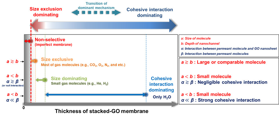 적층형 산화 그래핀 막에서 물질 이동 규작이 크기배제 및 상대적 상호작용으로 전이되는 원리. (사진=지스트)