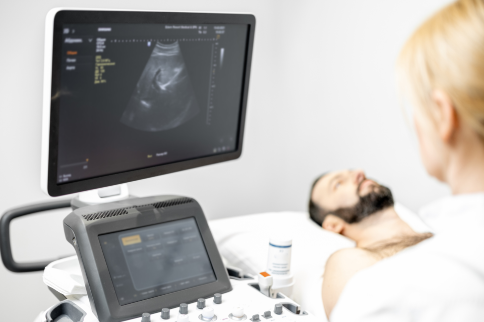 (사진=엔바토 엘리먼트)