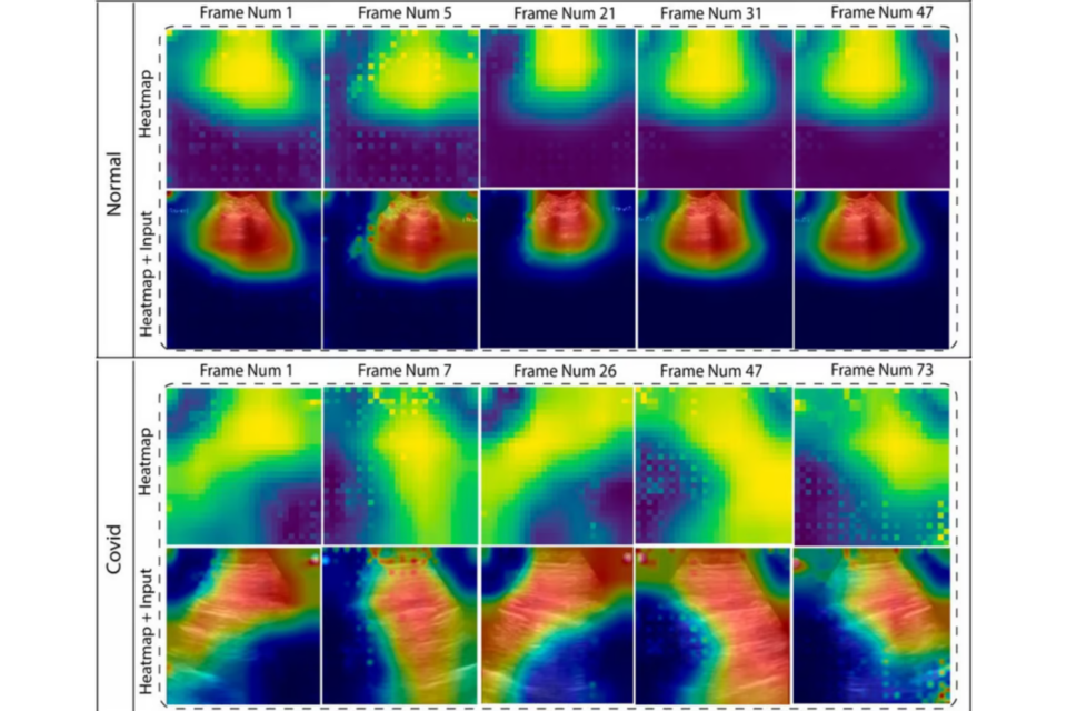 (사진=찰스다윈대)