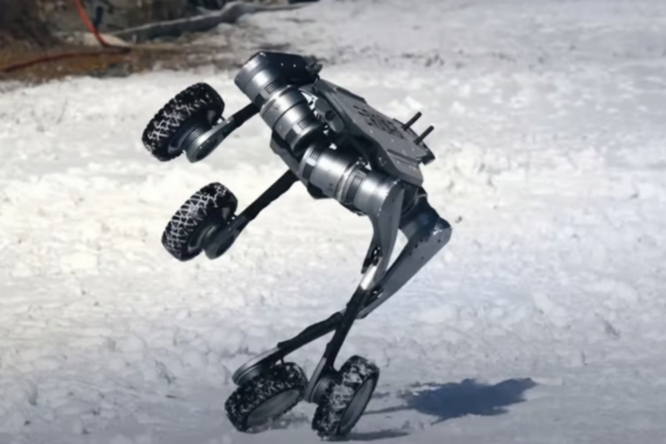 (사진=딥로보틱스)