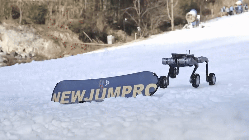 (그래픽=딥로보틱스)