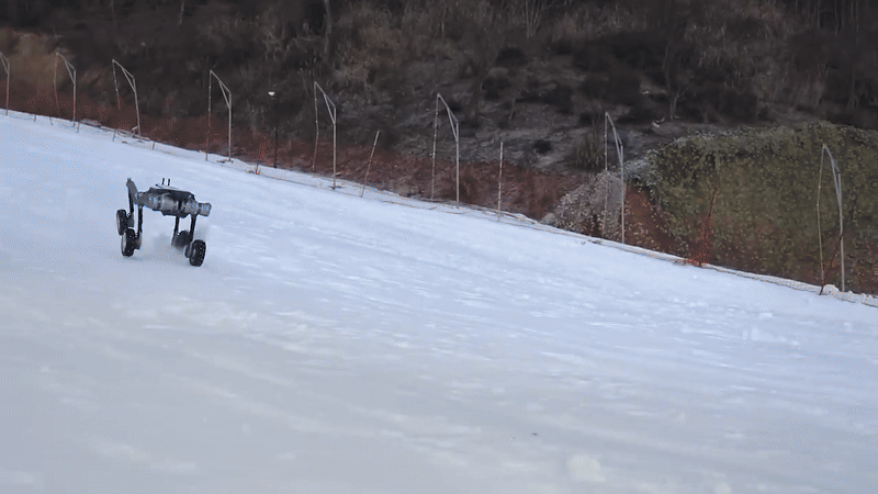 (그래픽=딥로보틱스)