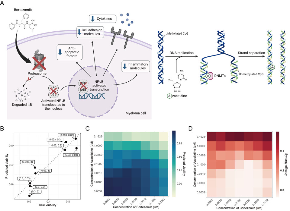 DD-PRiSM을 통해 예측된 유력 복합 항암제 및 농도 조합. (사진=지스트)