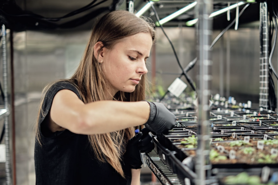 (사진=헤리터블 애그리컬처)