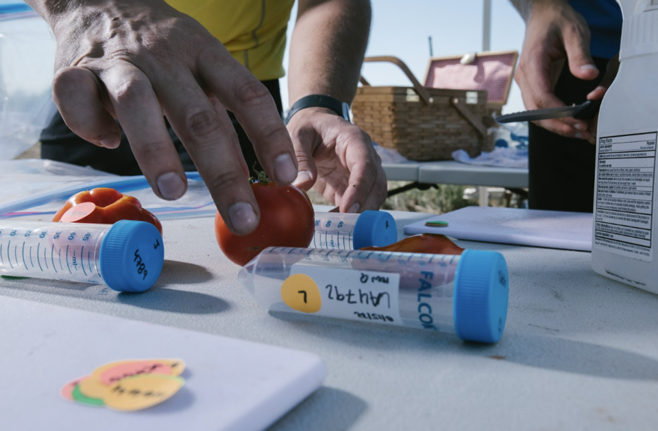 (사진=헤리터블 애그리컬처)