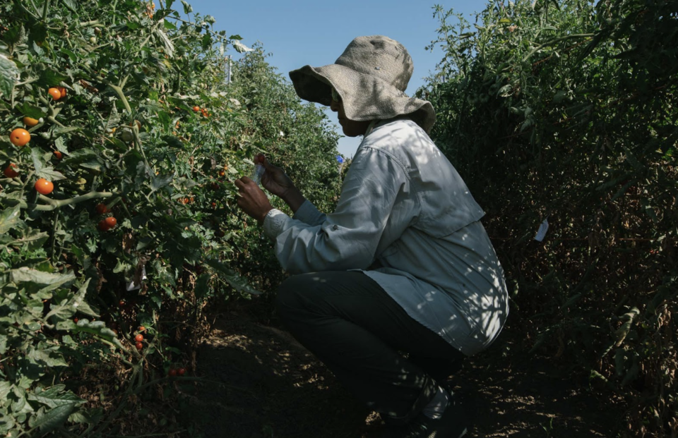 (사진=헤리터블 애그리컬처)