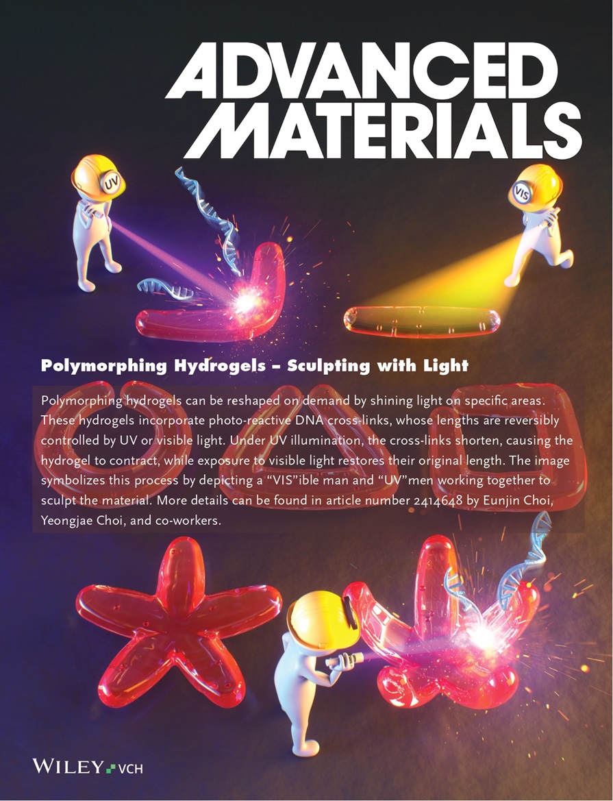 Advanced Materials 표지논문 게재. (사진=지스트)