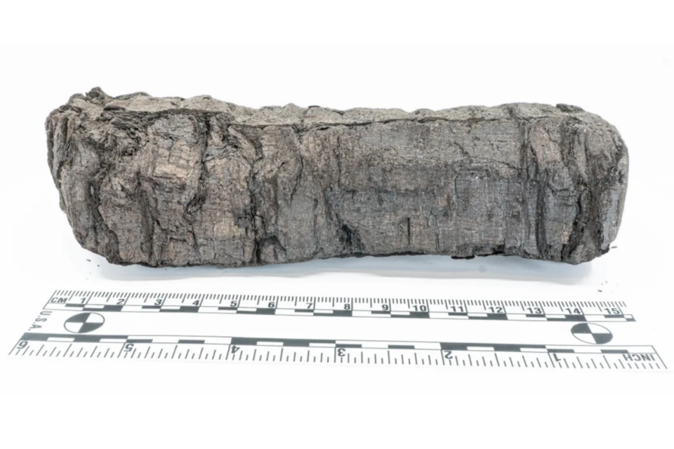 베수비오 화산 폭발 당시 그을려 펼수 없게 된 고대 로마 두루마리 문서. (사진=베수비오 챌린지)