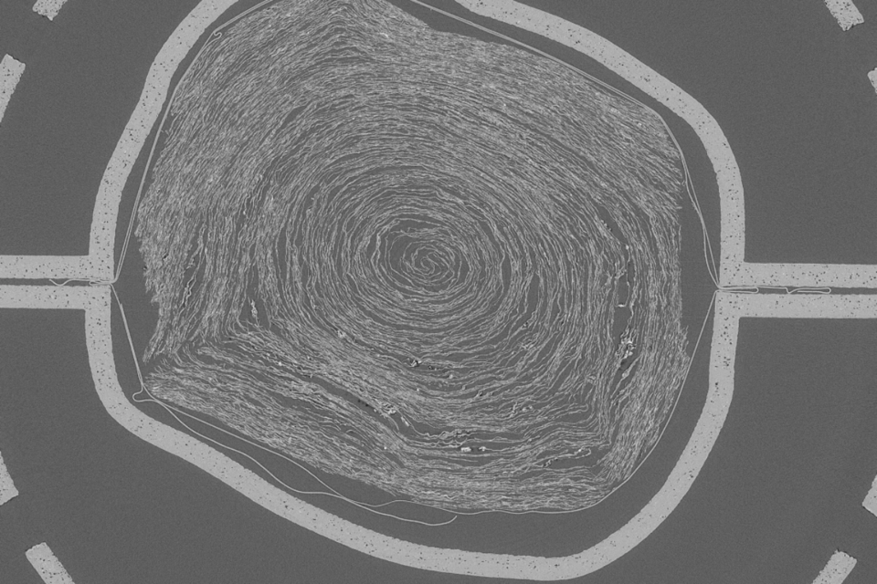 스캔한 두루마리의 내부. (사진=베수비오 챌린지)