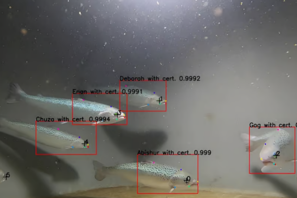 (사진=노르웨이 과학산업기술연구재단)