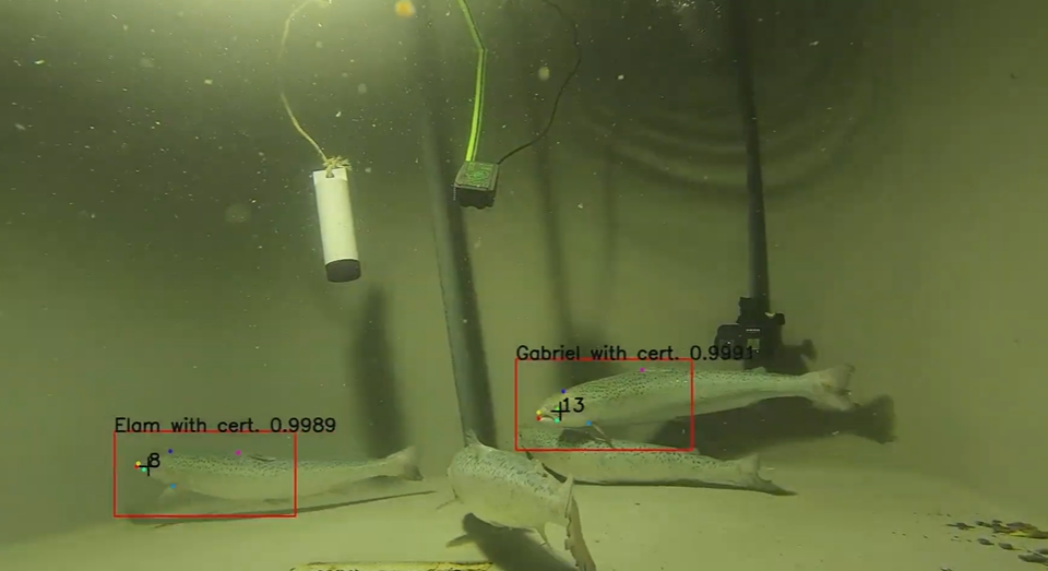 (사진=노르웨이 과학산업기술연구재단)