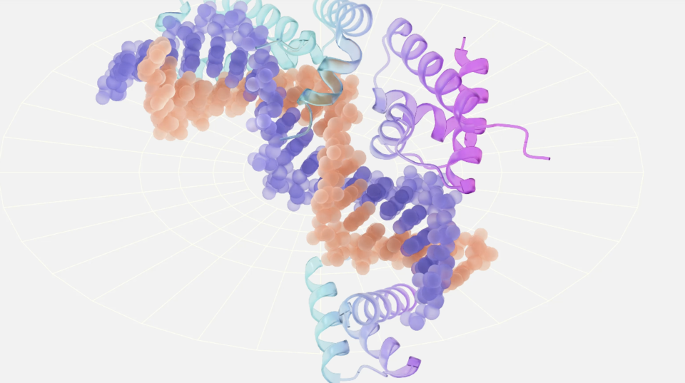 (사진=레이턴트랩스)