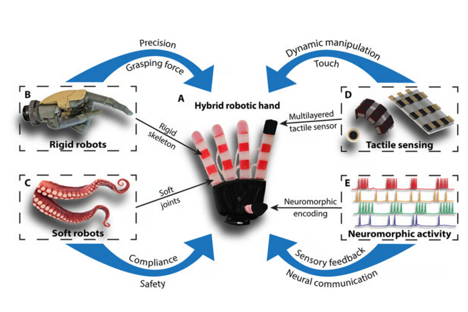 (사진=존스홉킨스 대학)