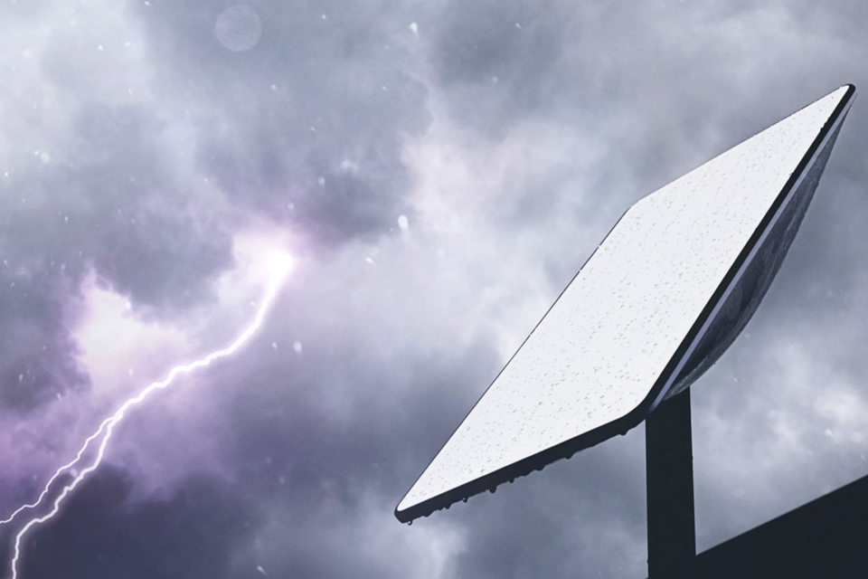 (사진=스타링크)