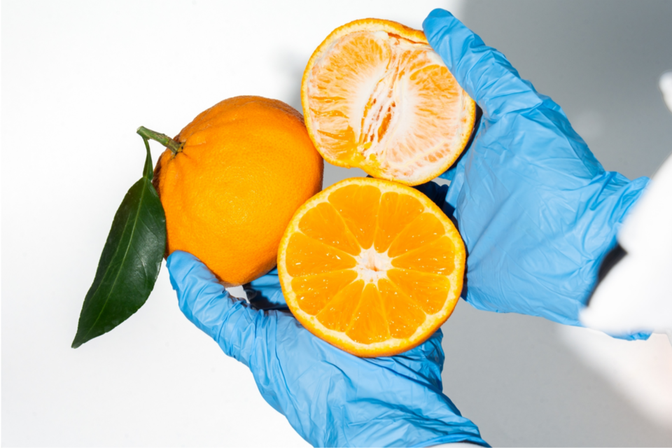 제주 신품종 만감류 ‘하르봉’. (사진=귤메달)