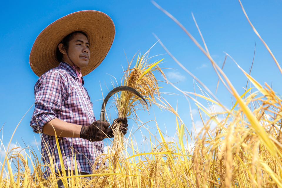 (사진=엔바토 엘리먼트)