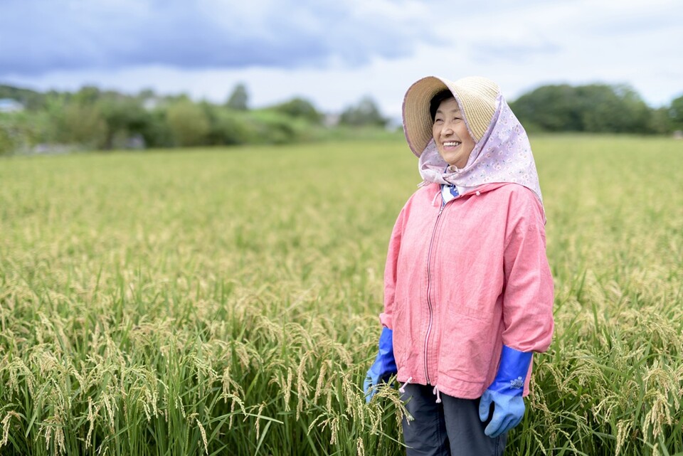 (사진=엔바토 엘리먼트)