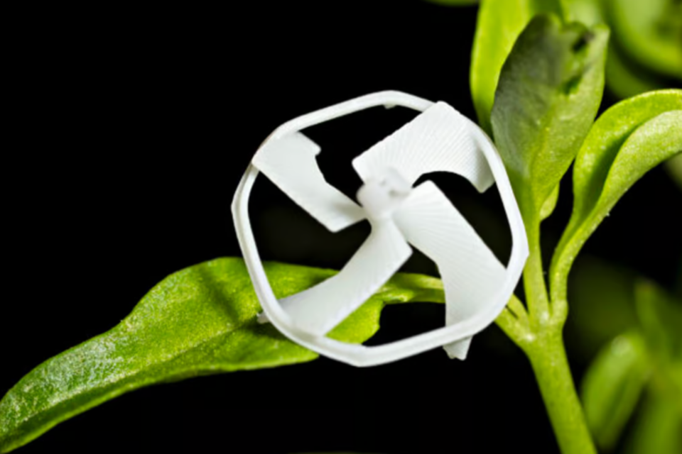 (사진=UC버클리)