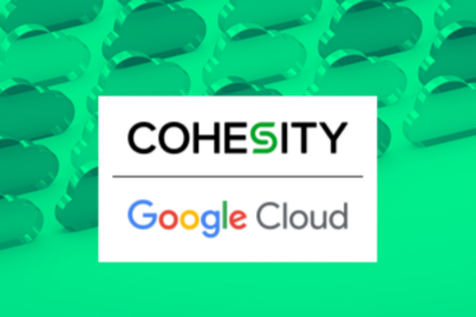 (사진=코헤시티)