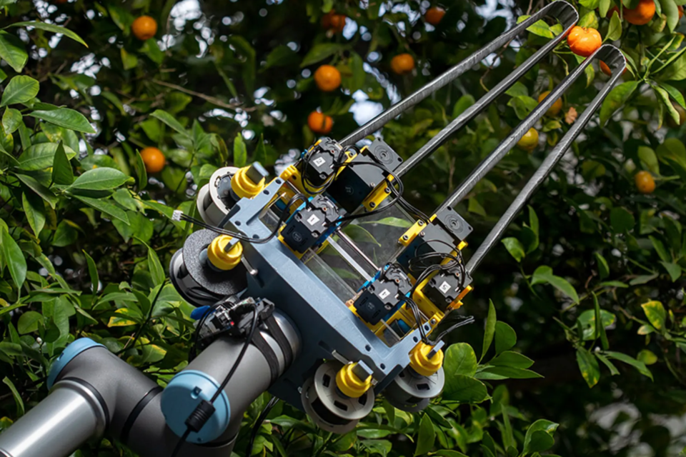 (사진=미국 UC 샌디에이고)