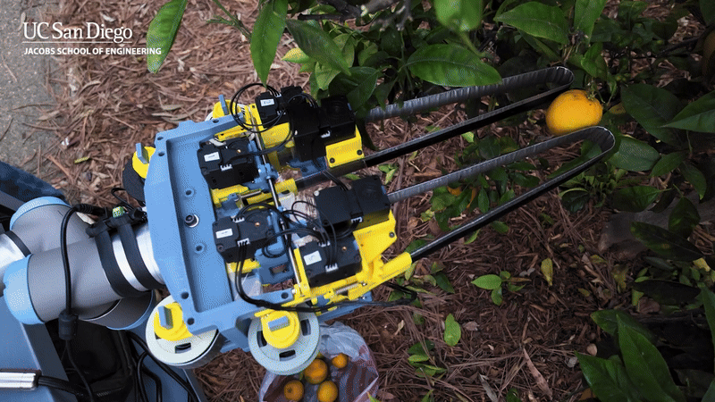 (그래픽=미국 UC 샌디에이고)