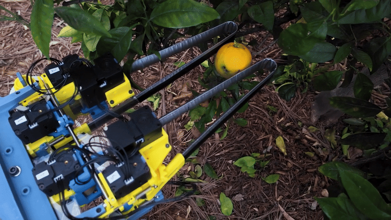 (그래픽=미국 UC 샌디에이고)