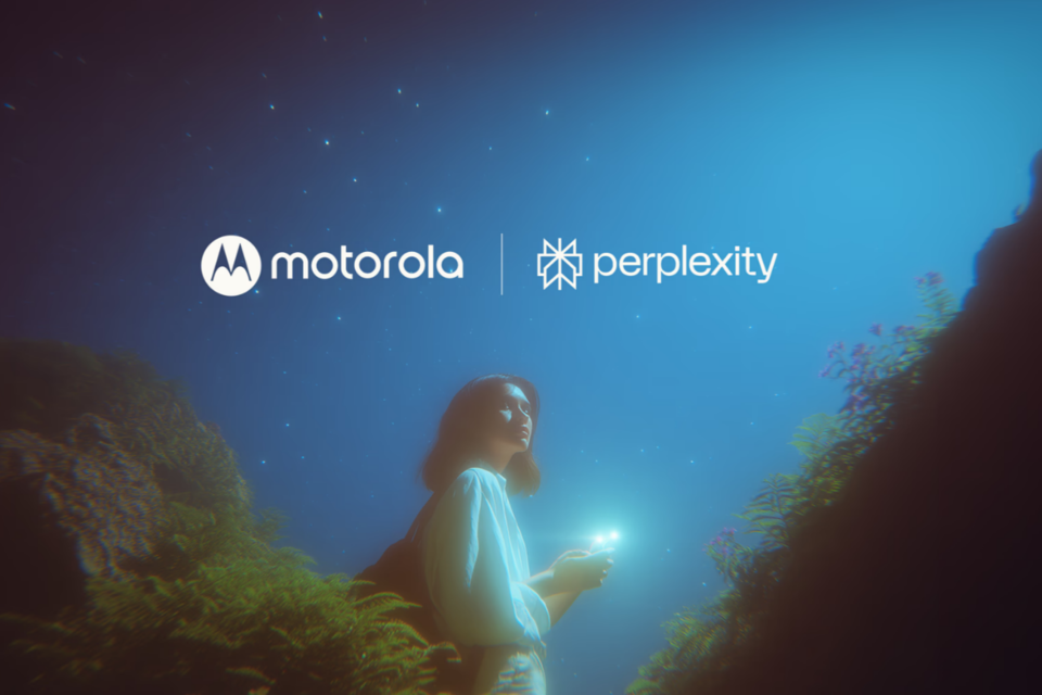 (사진=퍼플렉시티)