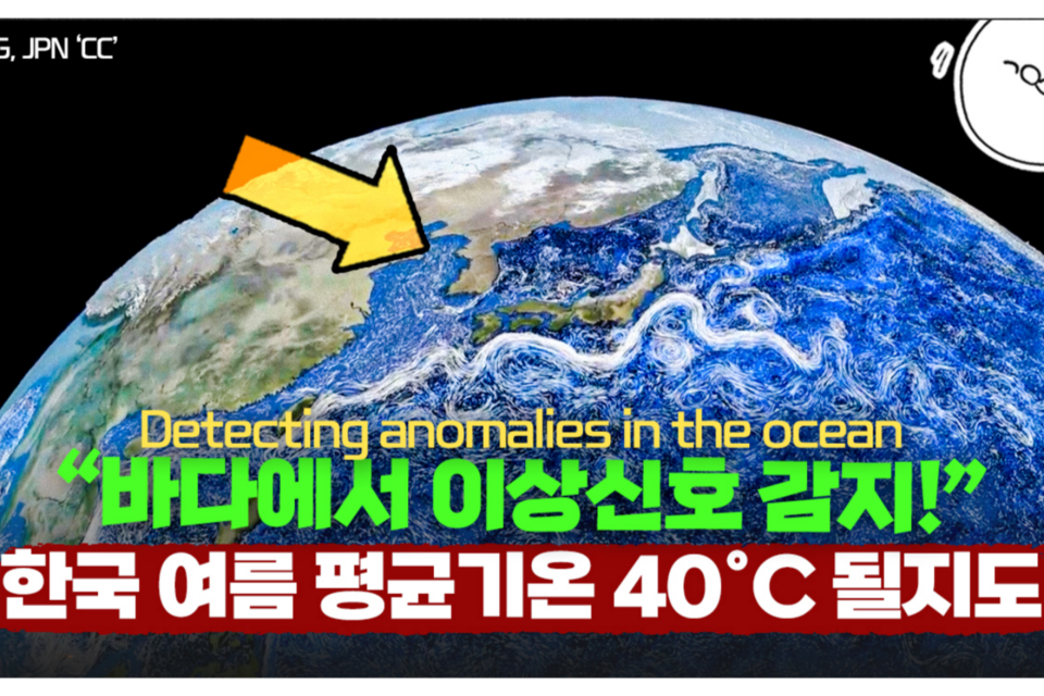 (사진=지식인미나니)