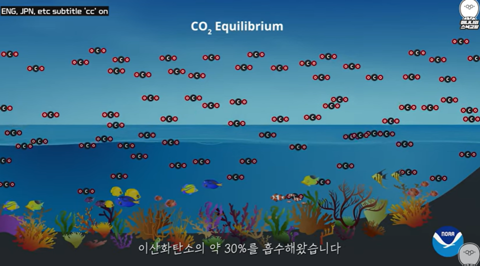 (사진=지식인미나니)