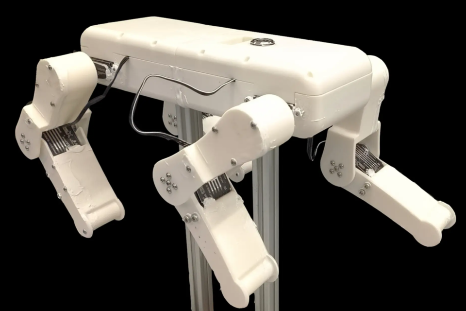 (사진=남중국공과대학교)