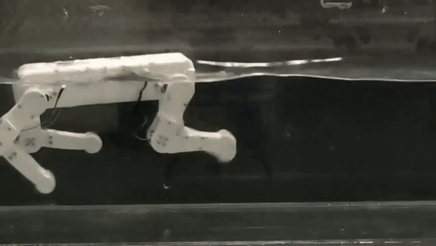 (그래픽=남중국공과대학교)