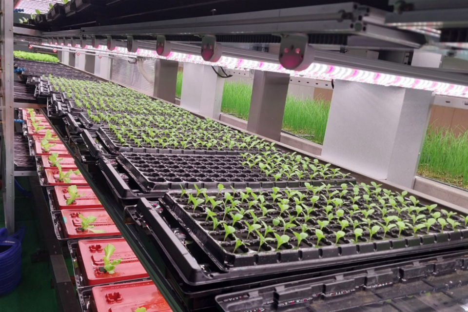 (사진=파머스랩)