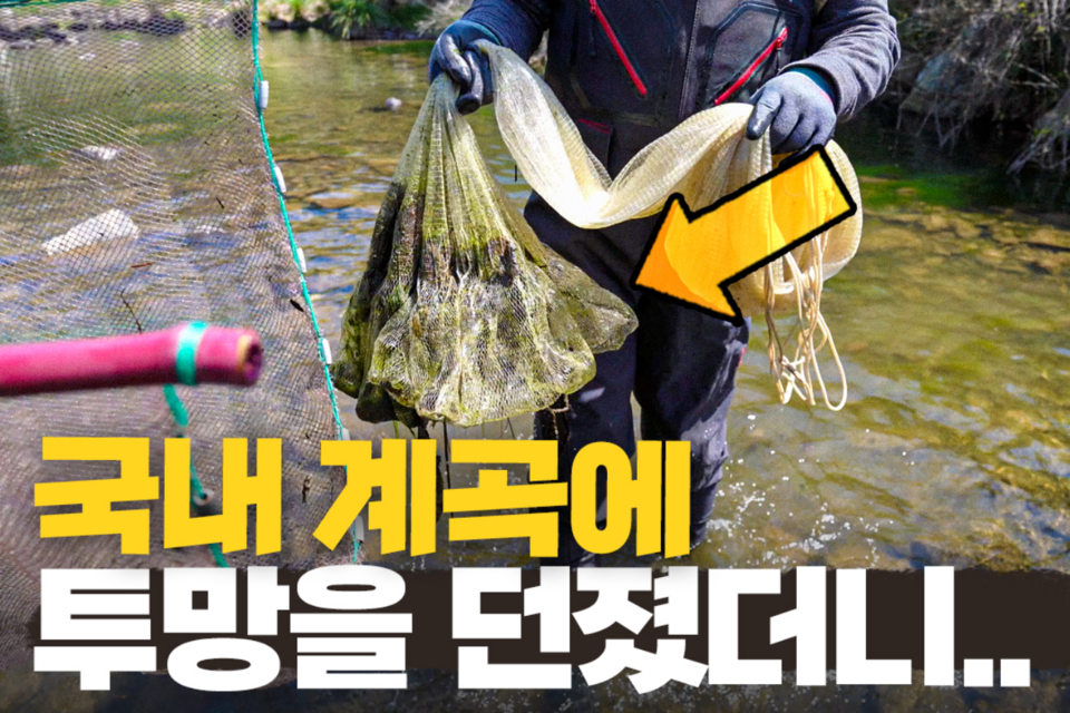 (사진=지식인미나니)