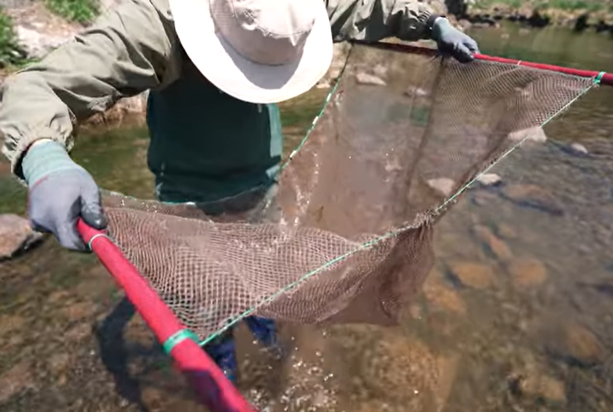 (사진=지식인미나니)