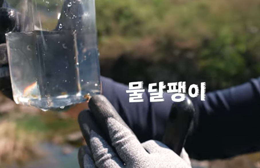 (사진=지식인미나니)