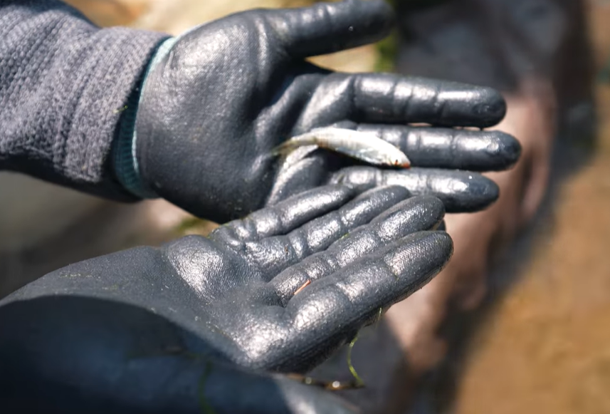 (사진=지식인미나니)