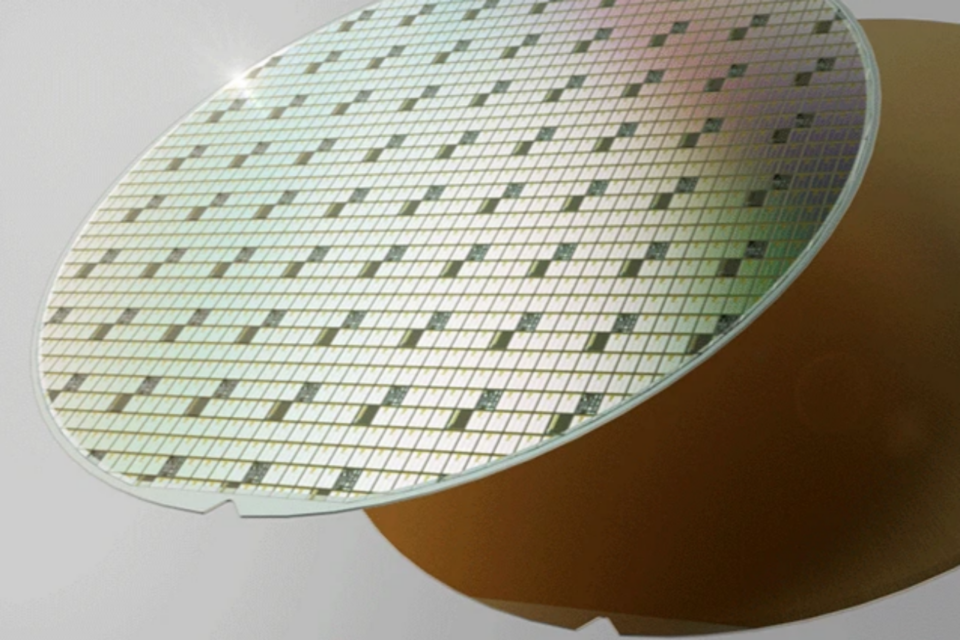 (사진=울프스피드)