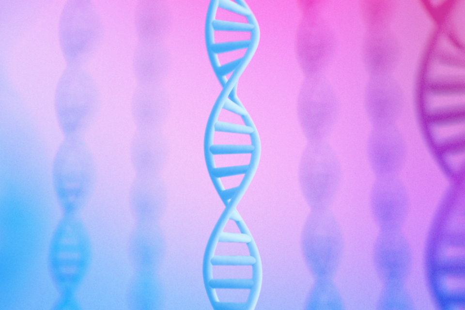 (사진=구글 딥마인드)