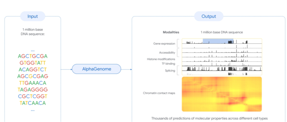 (사진=구글 딥마인드)