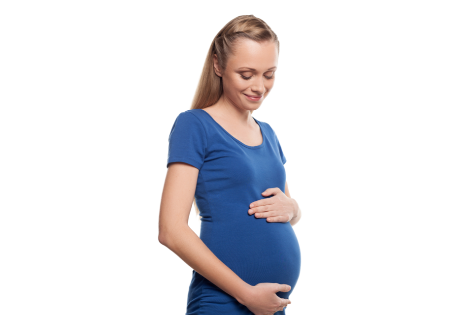 기사의 이해를 돕기 위한 이미지. (사진=엔바토 엘리먼트)