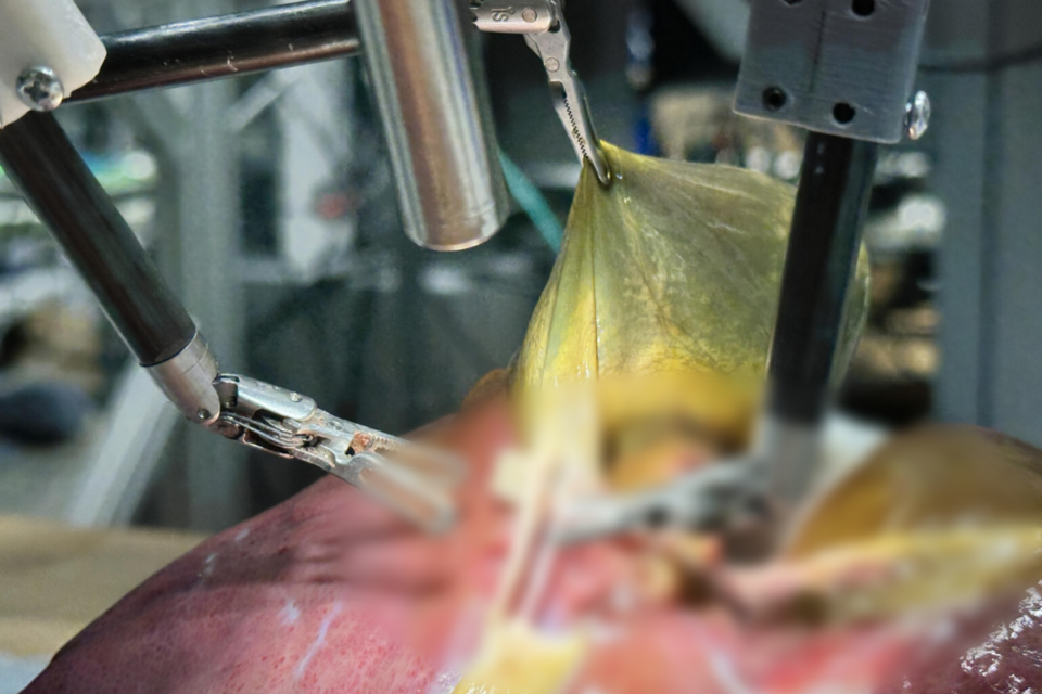 (사진=미국 존스홉킨스대)