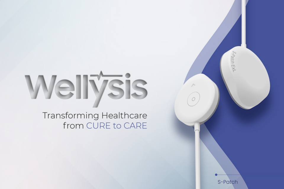 (사진=웰리니스)