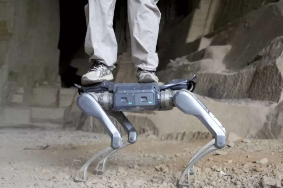 (사진=유니트리)