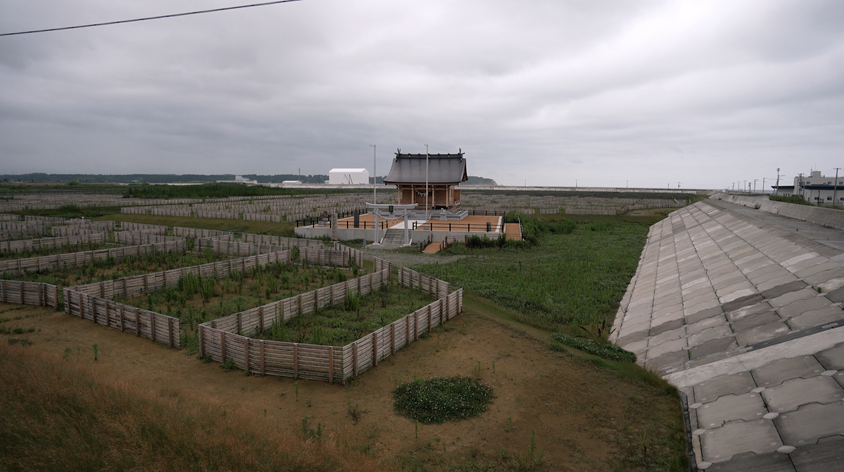 (사진=지식인미나니)