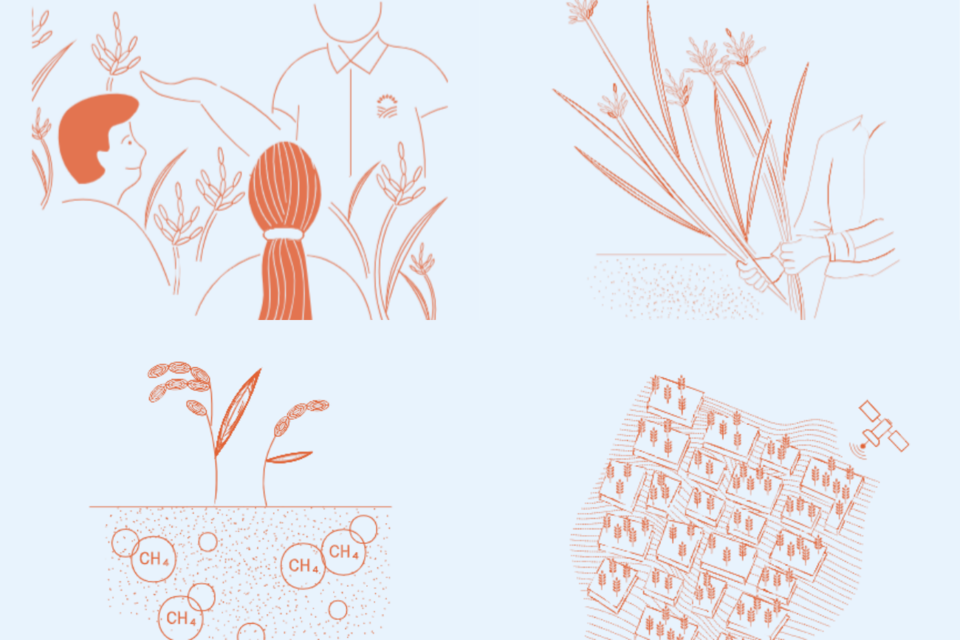 (사진=미티랩스)