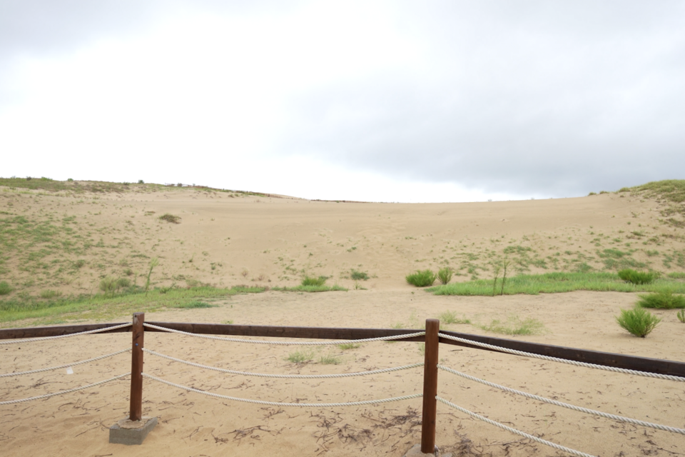 (사진=지식인미나니)