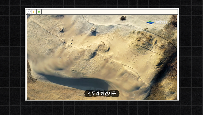 (사진=지식인미나니)